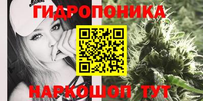 Альфа ПВП Ликино-Дулёво